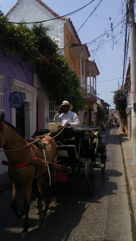 Horse-drawn carriage, Cartagena