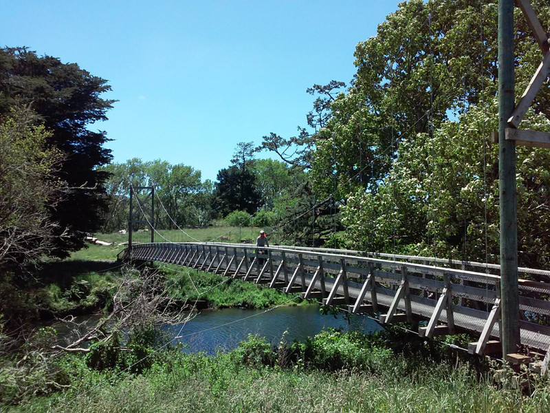 Suspension bridge on the Hauraki Trail