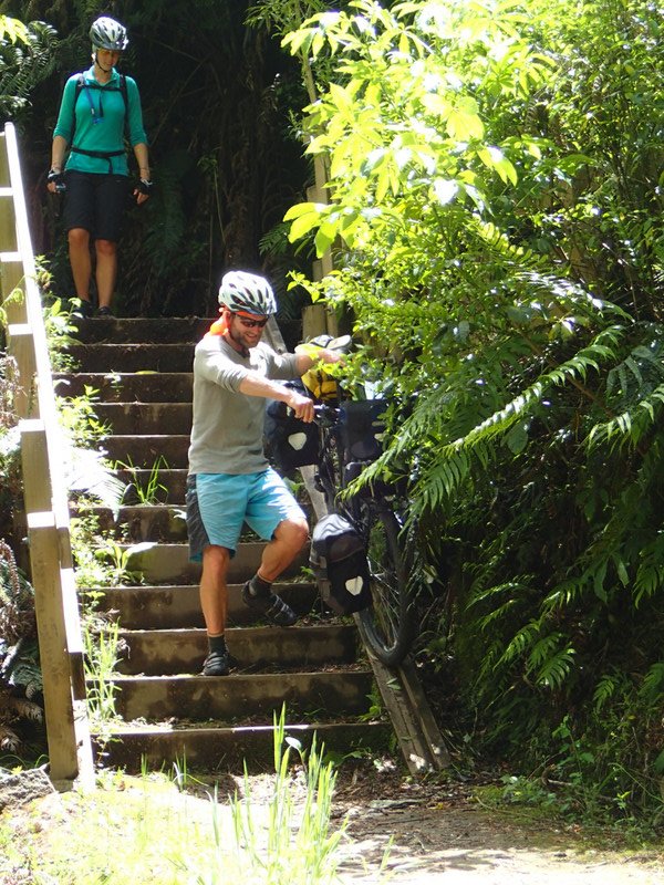 Waikato River Trail