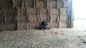 Mark and Jeri's hay shed