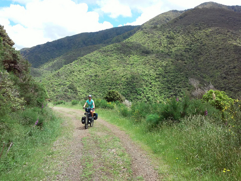Rimutaka trail
