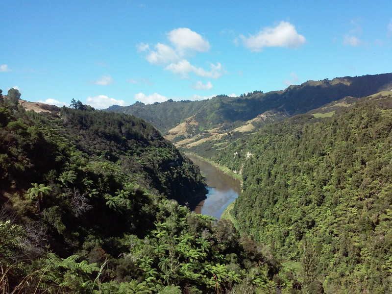 Whanganui river
