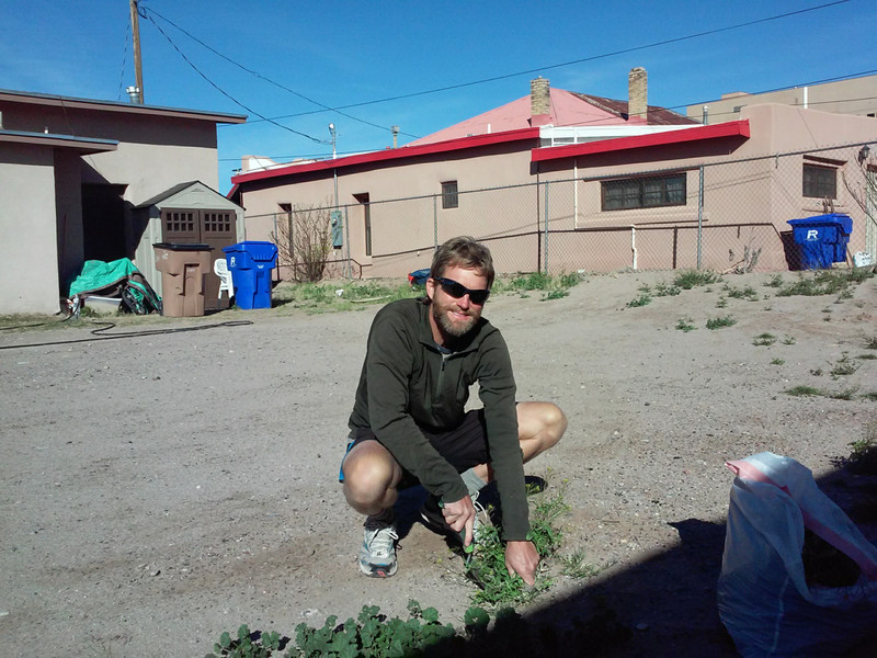 Ken doing some weeding at Lisa's place in Las Cruces
