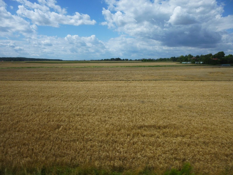 Flat Polish countryside