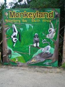 Monkey Land!