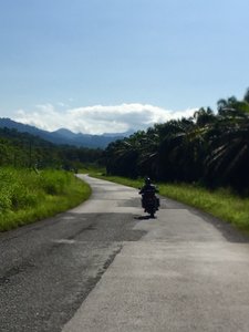 The bumpy patchwork of road in Osa 