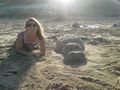 I made a hippo on the beach