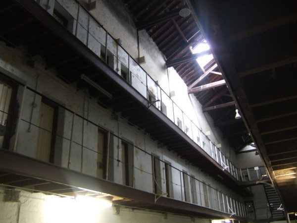 The cells 