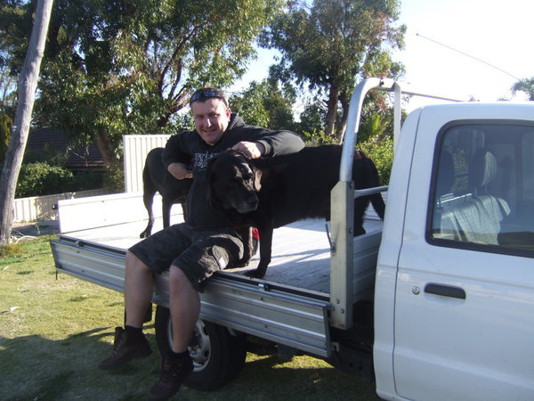 Doug and the dogs in the Ute!!!