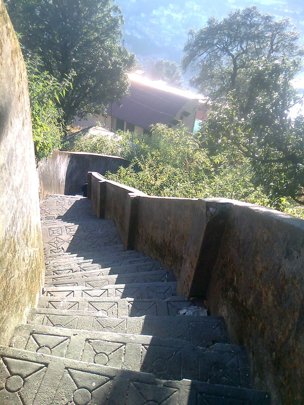 Steep Steps down from the Zoo