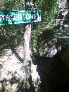Type of Porcupine Cave at Eco Cave garden