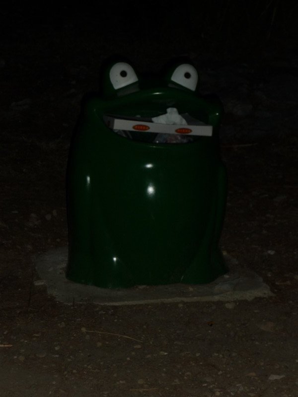 Frog Trash Can