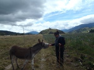 Renee making friends with a donkey