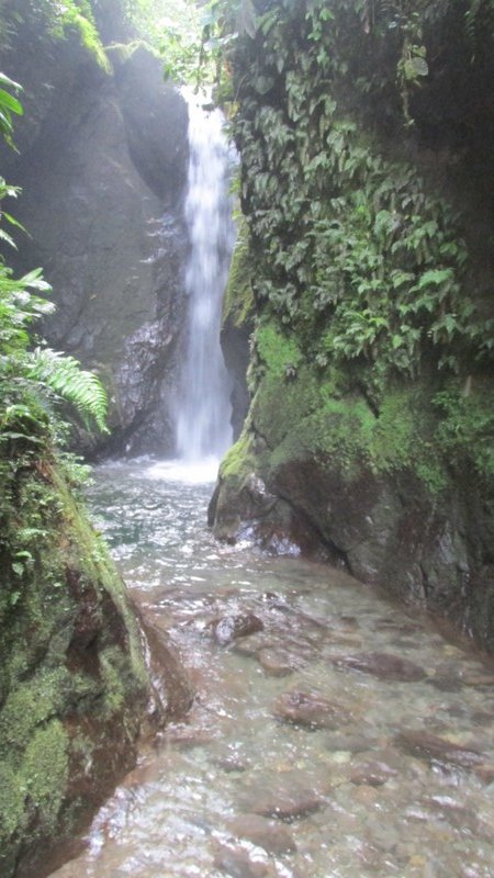 Waterfall outside Mindo