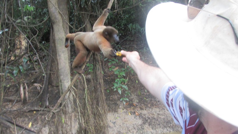 Pete feeding the monkeys