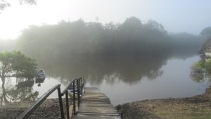 Morning Fog and a perfectly still water