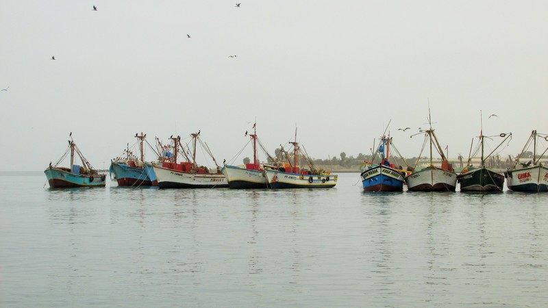 Paracas Fishing vessels