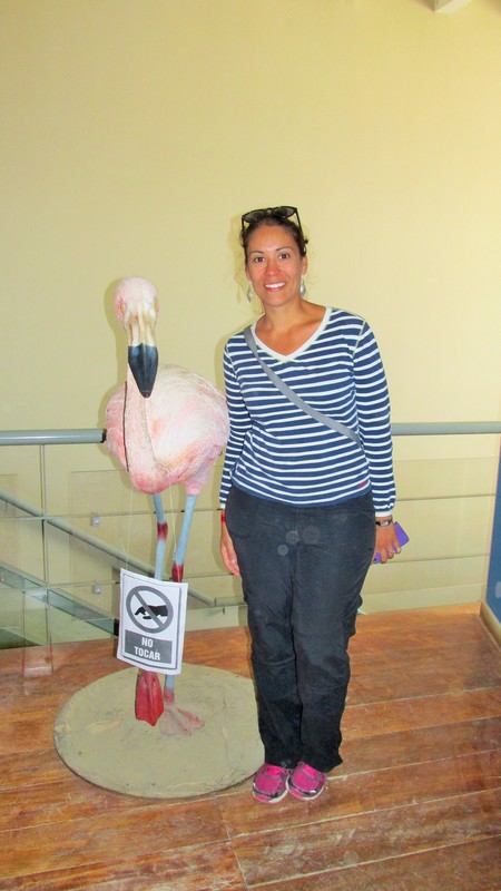 Renee with her flamingo