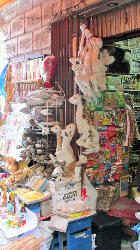 Dried baby Llama Fetes - Witches Market