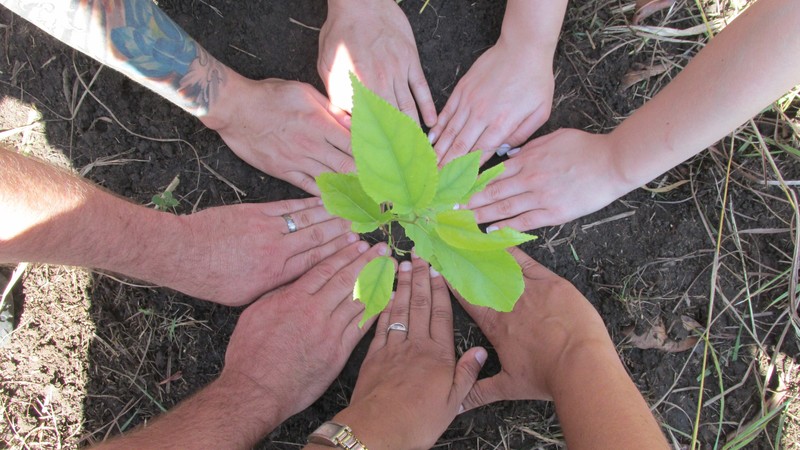 All hands planting trees on our bike ride