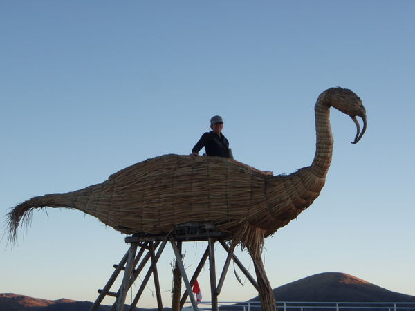 Ems in a giant reed bird