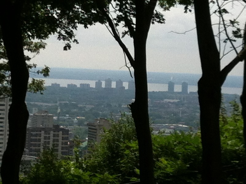 View of Montreal from behind some trees