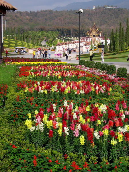 Flower Garden up Promenade