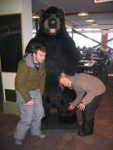 Bear 3