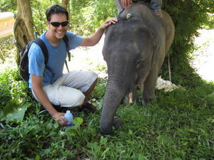 Baby elephant at the Elephant Sanctury