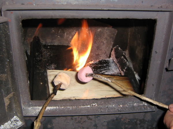 Toasting marshmallows over my wonderful fire