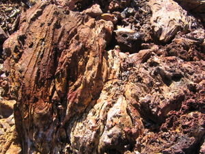 Volcanic rock on Isla Isabela