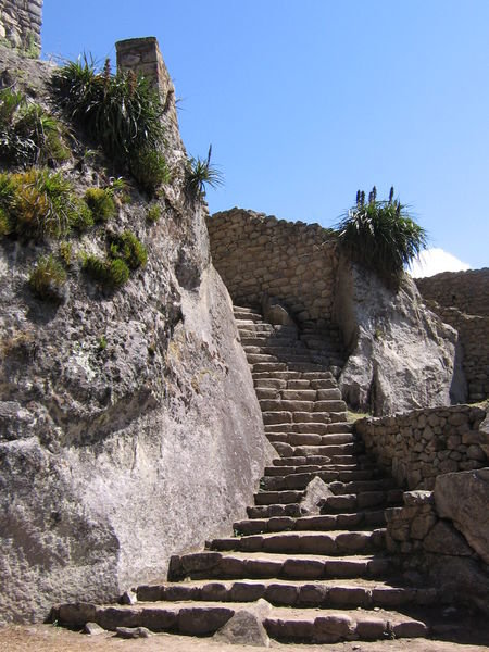 Steps in Machu Picchu