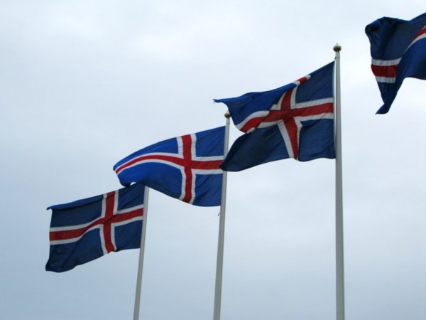 Icelandic flags