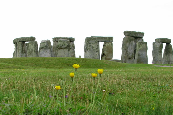 Flowers and Stonehenge