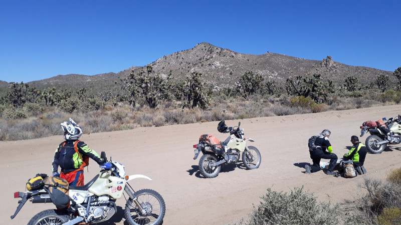 Navigation on Mojave Preserve