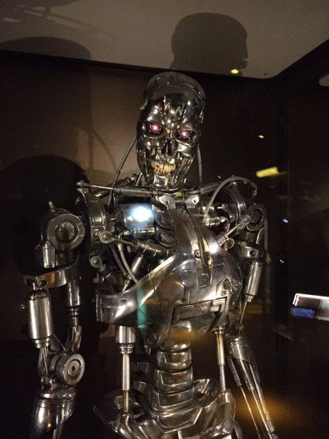Terminator at EMP