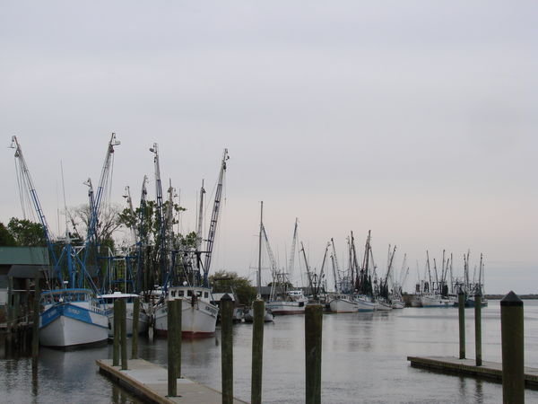 the fishing boat fleet in Darien