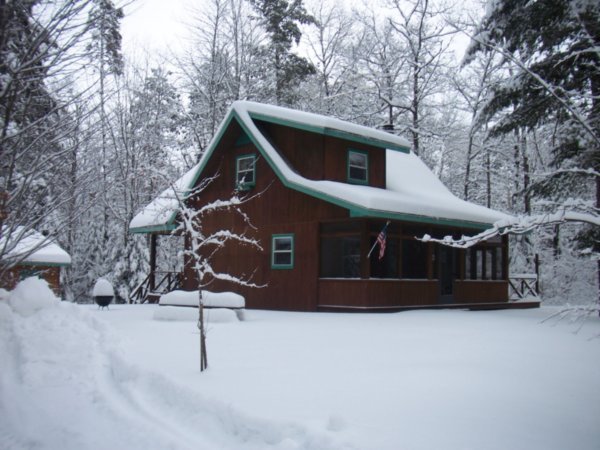 Our house in the Woods