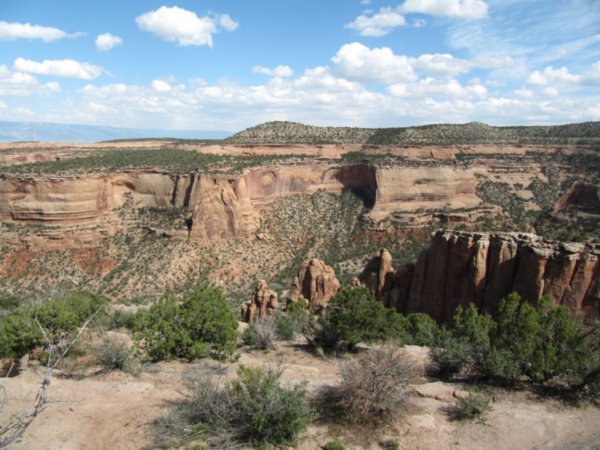 View from the canyon rim