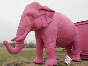 Pink Elephant Antiques