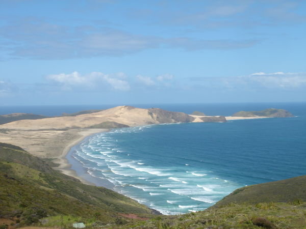 The coast of the North Island 