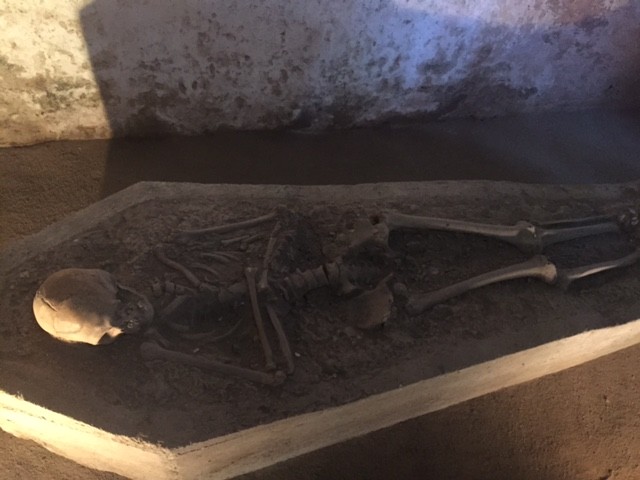 One of many skeletons