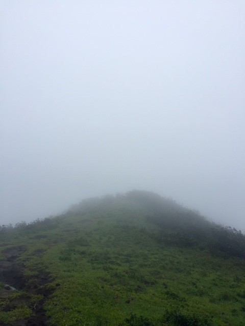 Misty at the top