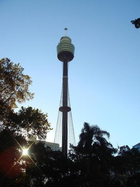 The Sydney AMP Tower 