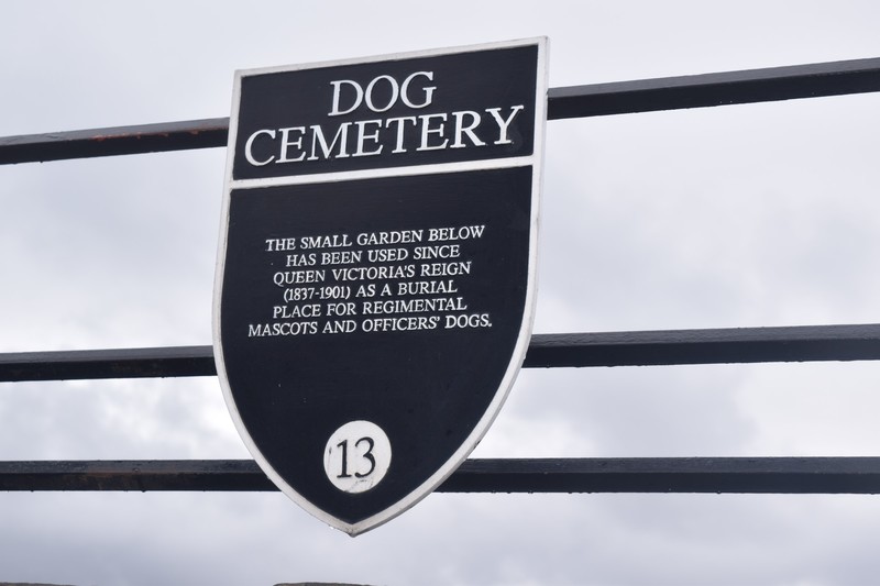 Marker for Pet Cemetary