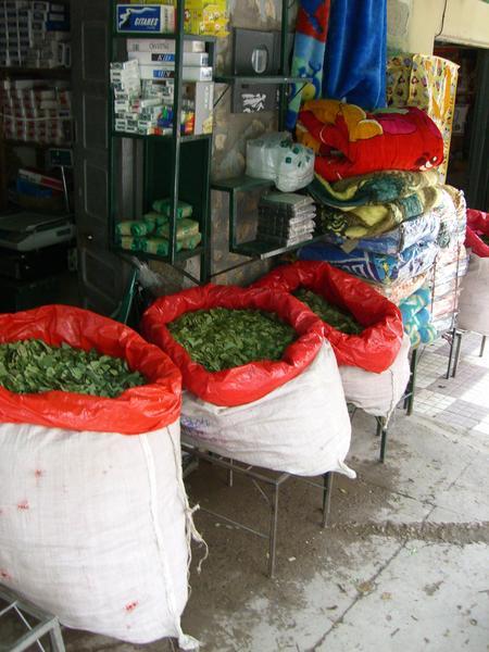 Coca leaves