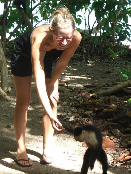 Rach and a Monkey