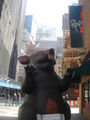NYC Rat