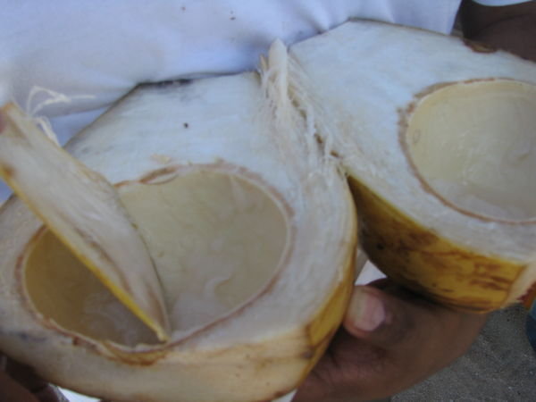 more coconut