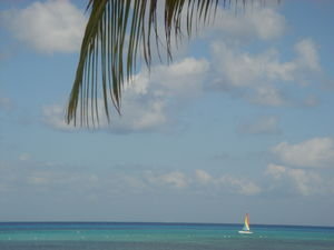 sail boat in the water